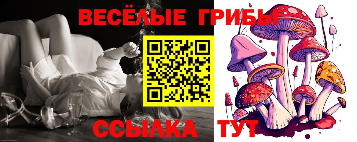 дарнет шоп  Галлюциногенные грибы Magic Shrooms  Вход с VPN  Канаш  Галлюциногенные грибы Magic Shrooms 